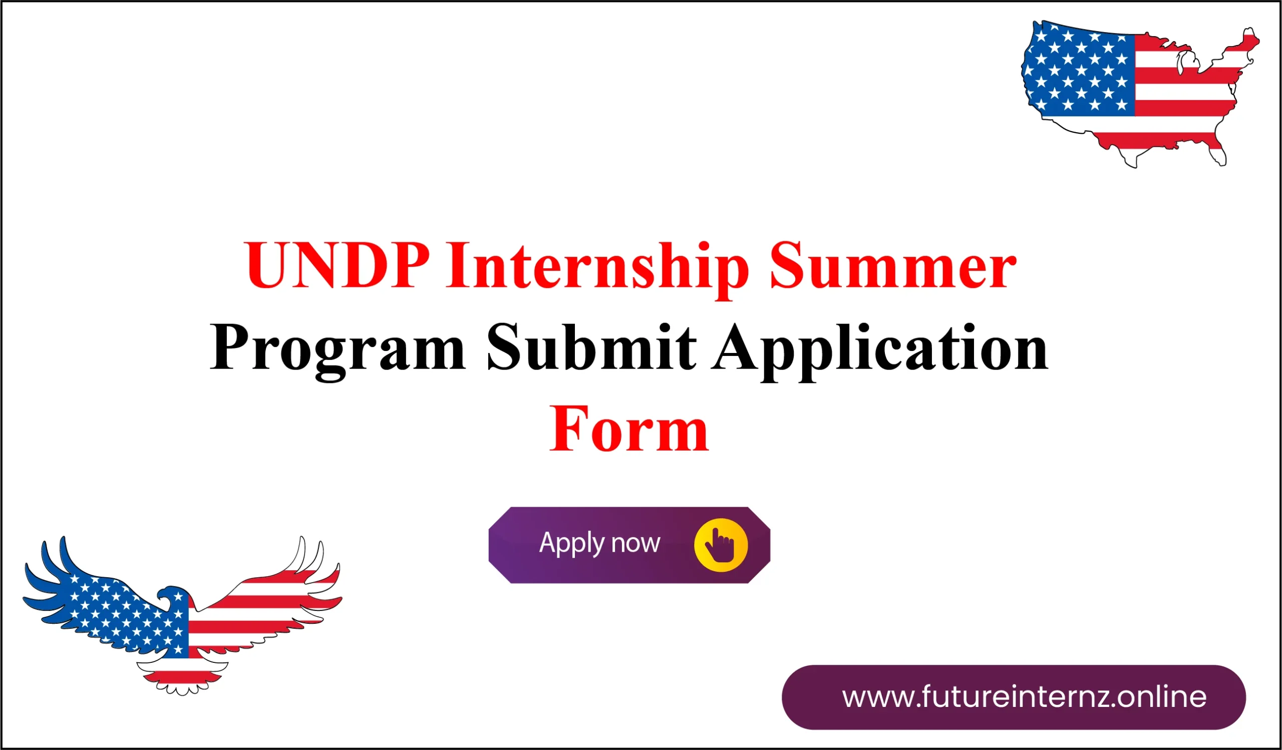 UNDP Internship