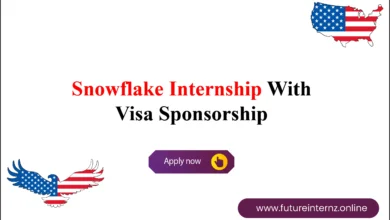 Snowflake Internship