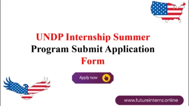 UNDP Internship