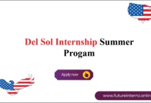 Del Sol Internship
