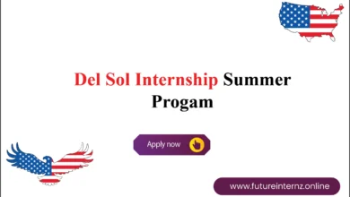 Del Sol Internship