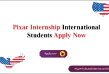 Pixar Internship
