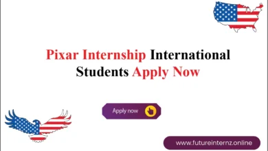 Pixar Internship